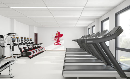 企业健身房建设器材配置趋势解析