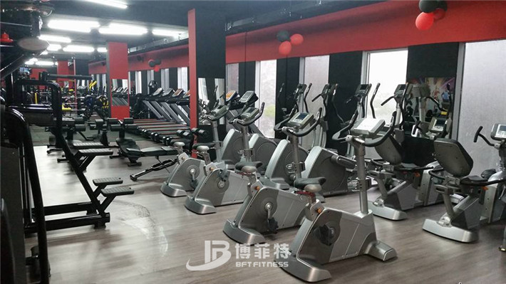 格鲁吉亚健身房 有氧健身器材